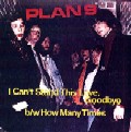 Image: Can't Stand This Love, Goodbye 45 cover