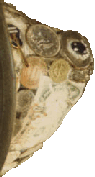 Image: Hat